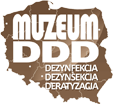Muzeum DDD