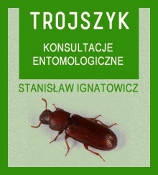 Trojszyk com